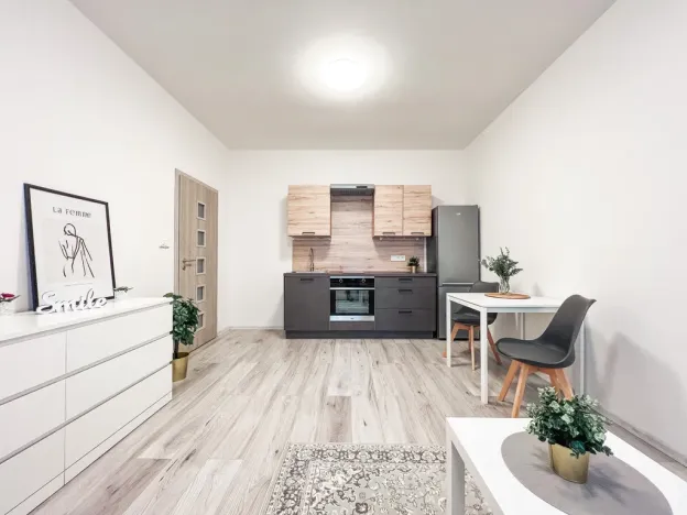 Pronájem bytu 1+kk, Milovice - Mladá, Slepá, 30 m2