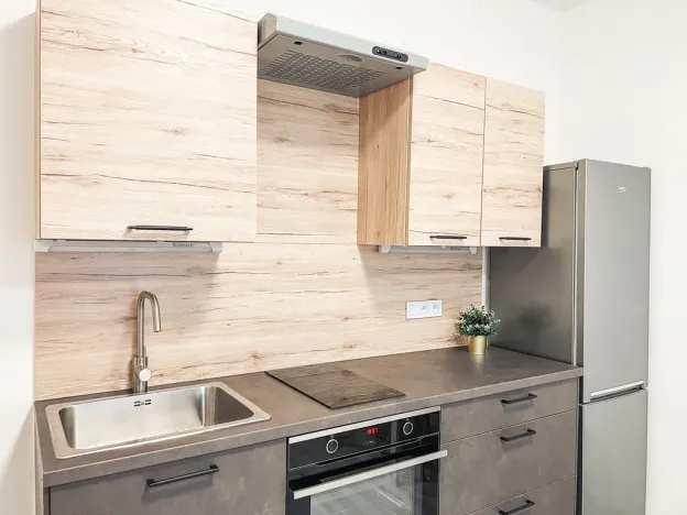 Pronájem bytu 1+kk, Milovice - Mladá, Slepá, 30 m2