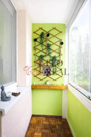 Prodej bytu 3+1, Brno - Žabovřesky, 78 m2