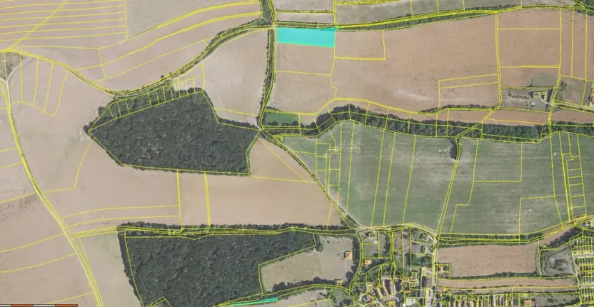 Dražba pole, Nelahozeves, 5092 m2