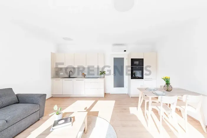 Pronájem bytu 3+kk, Brno, Spolková, 77 m2