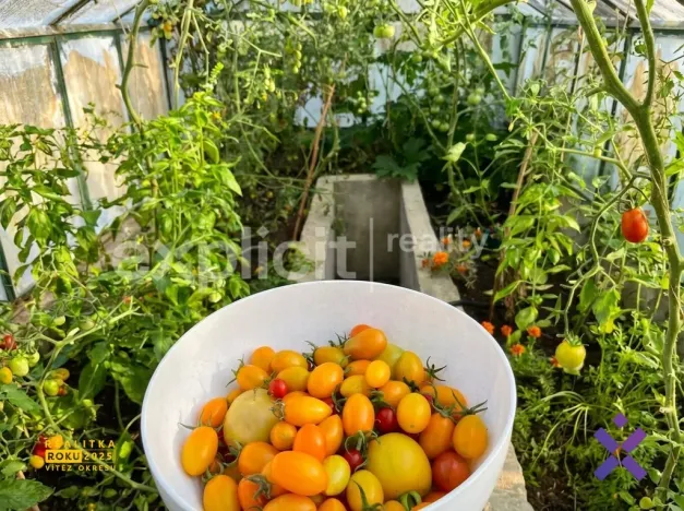 Prodej zahrady, Zlín - Malenovice, 581 m2