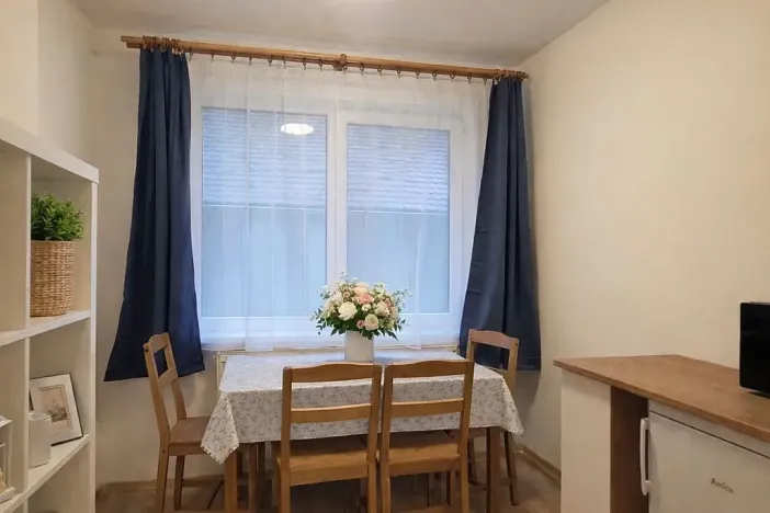 Pronájem bytu 1+kk, Brno, Francouzská, 25 m2