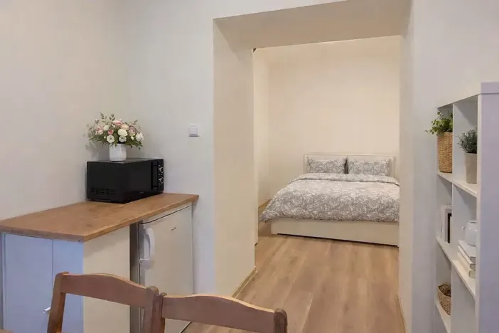 Pronájem bytu 1+kk, Brno, Francouzská, 25 m2