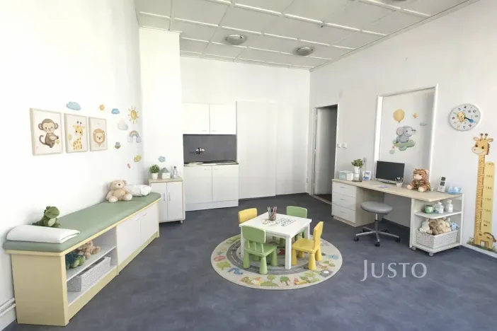 Pronájem ordinace, Písek, Budějovická, 35 m2