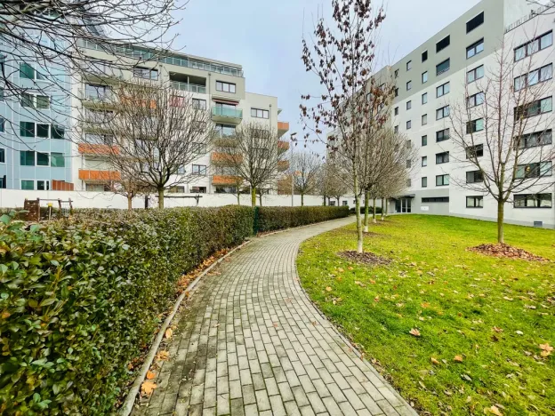 Pronájem bytu 2+kk, Olomouc - Nová Ulice, Horní lán, 48 m2