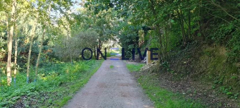 Prodej chaty, Bdeněves, 19 m2