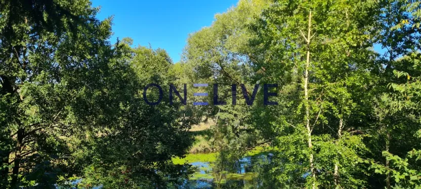 Prodej chaty, Bdeněves, 19 m2