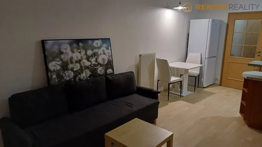 Pronájem bytu 1+kk, Olomouc - Nová Ulice, Okružní, 31 m2