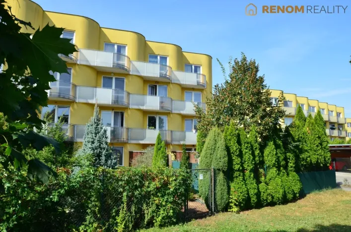 Pronájem bytu 1+kk, Olomouc - Nová Ulice, Okružní, 31 m2