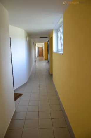 Pronájem bytu 1+kk, Olomouc - Nová Ulice, Okružní, 31 m2