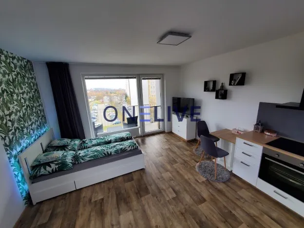 Pronájem bytu 1+kk, Plzeň, Na Chmelnicích, 35 m2