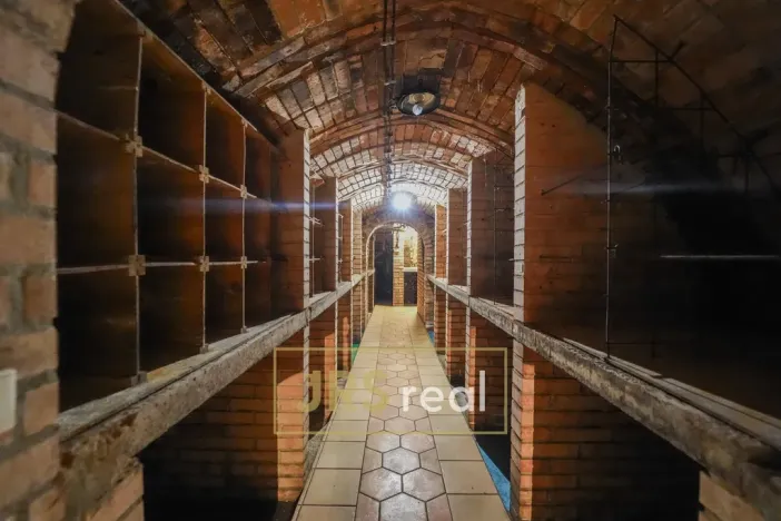 Prodej - jiné, Milotice, 321 m2