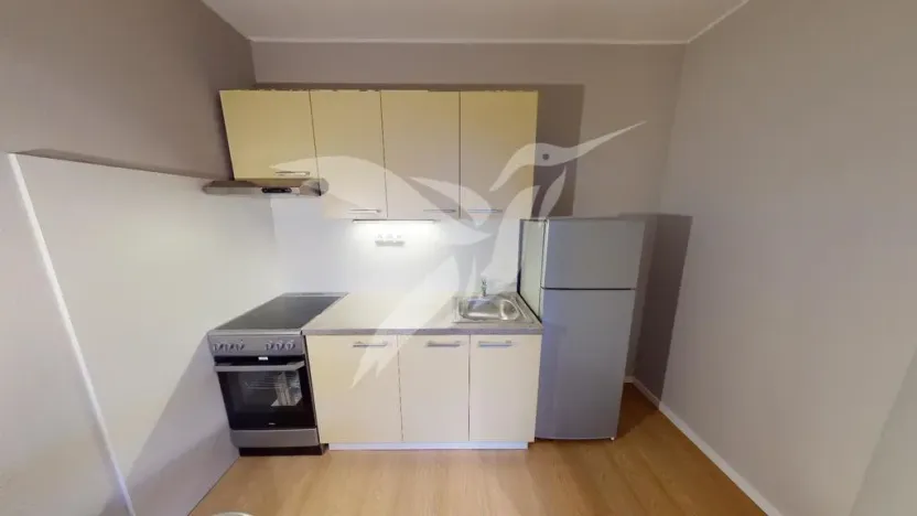 Pronájem bytu 1+kk, Plzeň, Hodonínská, 31 m2