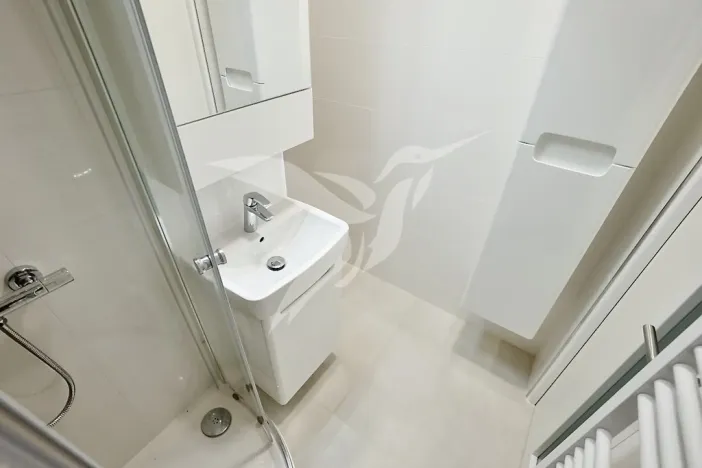 Pronájem bytu 1+kk, Plzeň, Hodonínská, 31 m2