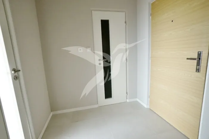 Pronájem bytu 1+kk, Plzeň, Hodonínská, 31 m2