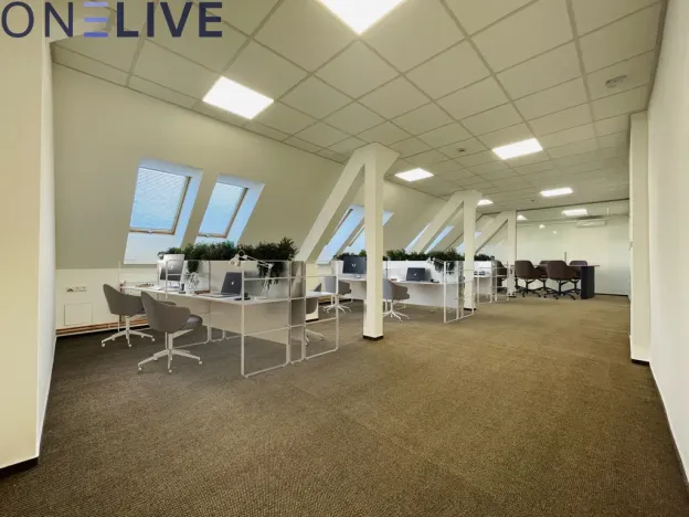Pronájem kanceláře, Plzeň, náměstí T. G. Masaryka, 365 m2