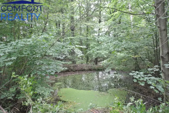 Prodej lesa, Havířov - Životice, Olšová, 5996 m2