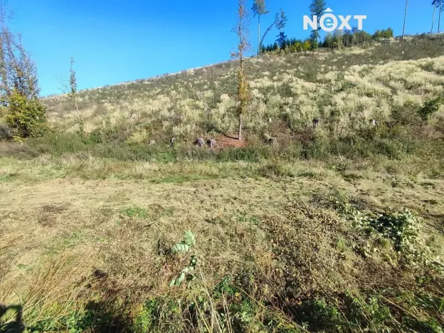 Prodej zahrady, Staré Buky, 2666 m2