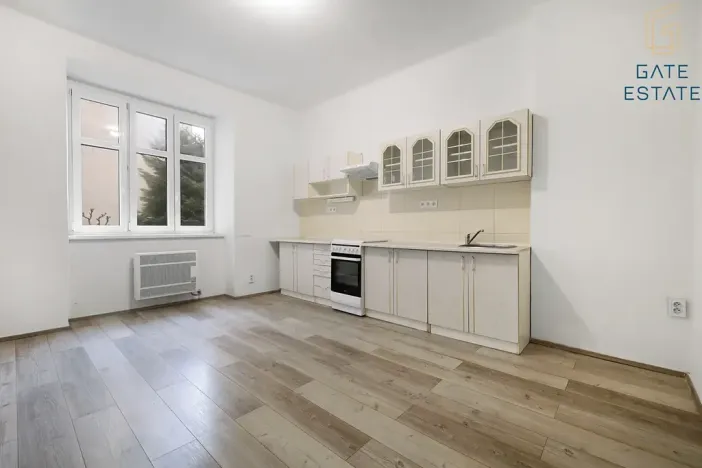 Pronájem bytu 1+1, Brno, Rybníček, 63 m2