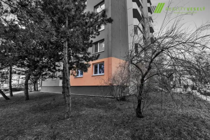 Prodej bytu 3+1, Hodonín, Velkomoravská, 69 m2