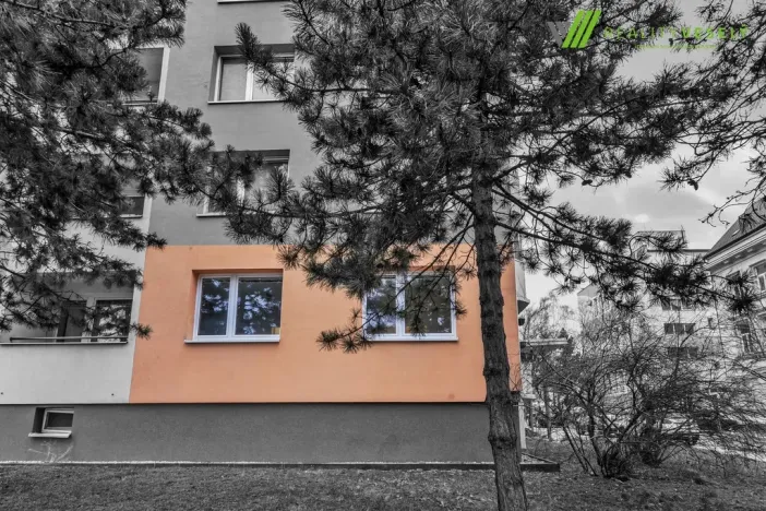 Prodej bytu 3+1, Hodonín, Velkomoravská, 69 m2