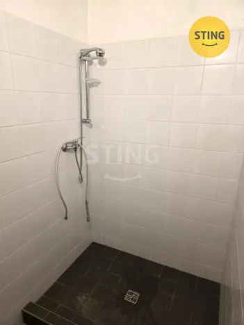 Pronájem výrobních prostor, Vršovice, 316 m2