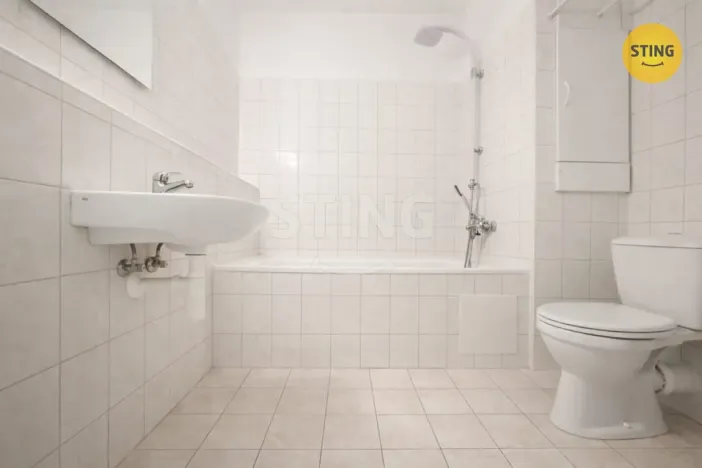 Pronájem bytu 1+kk, Ostrava - Bělský Les, 38 m2