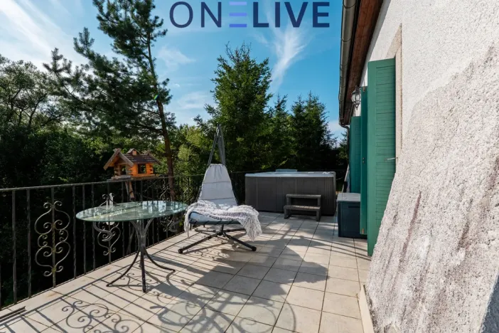 Prodej rodinného domu, Rozvadov - Svatá Kateřina, 650 m2