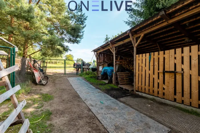 Prodej rodinného domu, Rozvadov - Svatá Kateřina, 650 m2