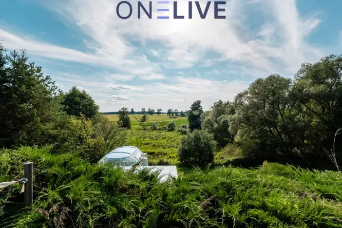 Prodej rodinného domu, Rozvadov - Svatá Kateřina, 650 m2