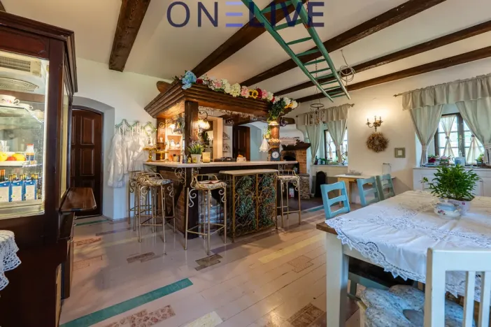 Prodej rodinného domu, Rozvadov - Svatá Kateřina, 650 m2