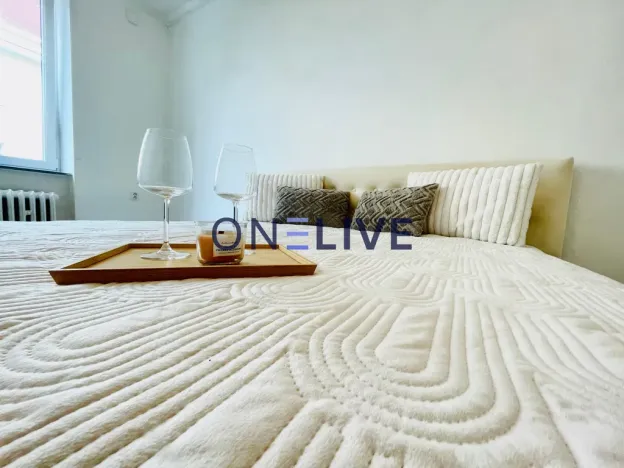 Prodej bytu 2+1, Karlovy Vary, K. Čapka, 55 m2