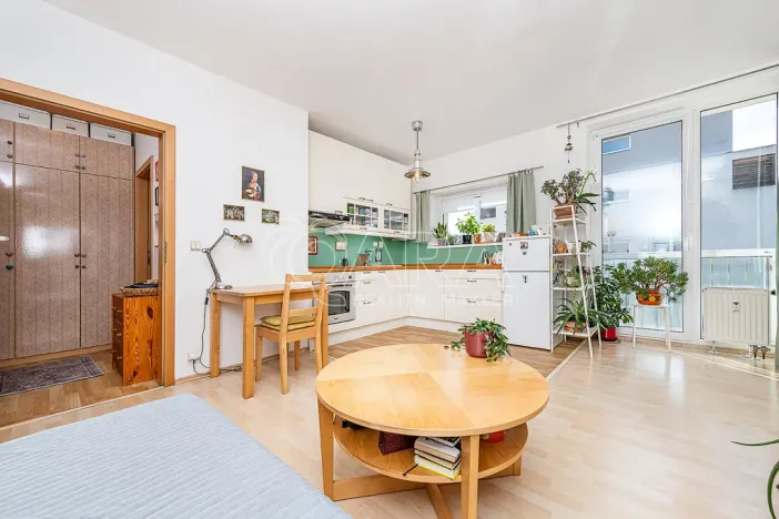 Prodej bytu 1+kk, Praha, U Smetanky, 39 m2