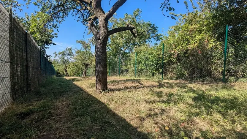 Prodej zahrady, Brno, 319 m2