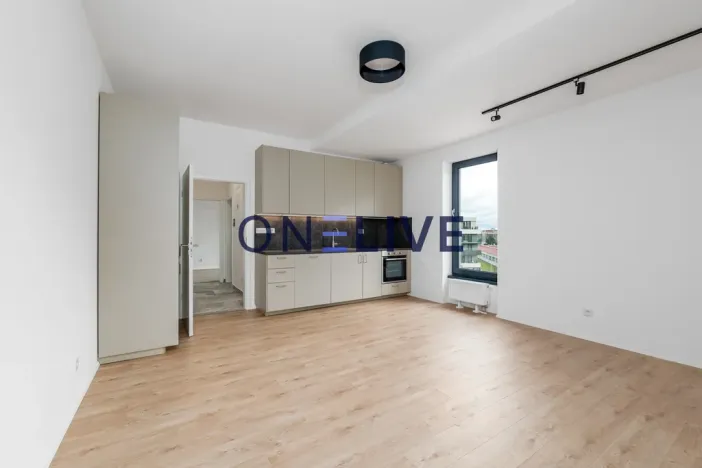 Pronájem bytu 3+kk, Plzeň, Železná, 59 m2