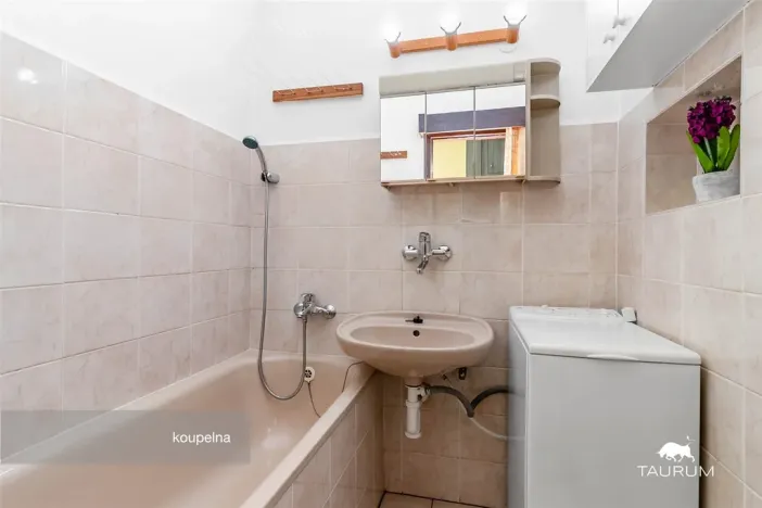 Prodej bytu 3+1, Plzeň - Východní Předměstí, U Prazdroje, 68 m2