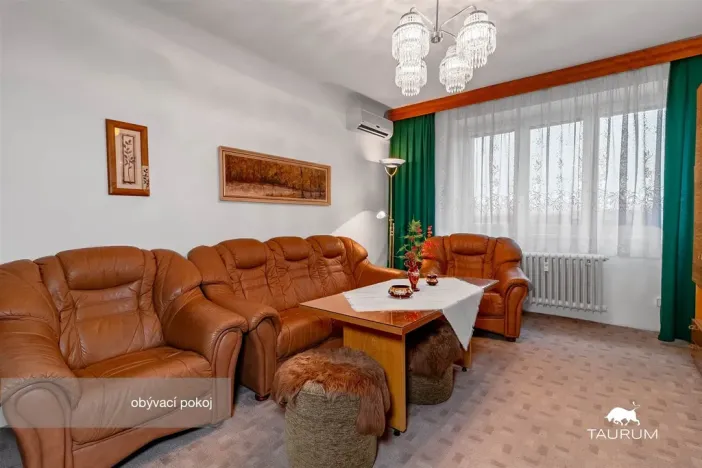 Prodej bytu 3+1, Plzeň - Východní Předměstí, U Prazdroje, 68 m2