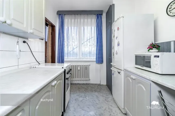 Prodej bytu 3+1, Plzeň - Východní Předměstí, U Prazdroje, 68 m2