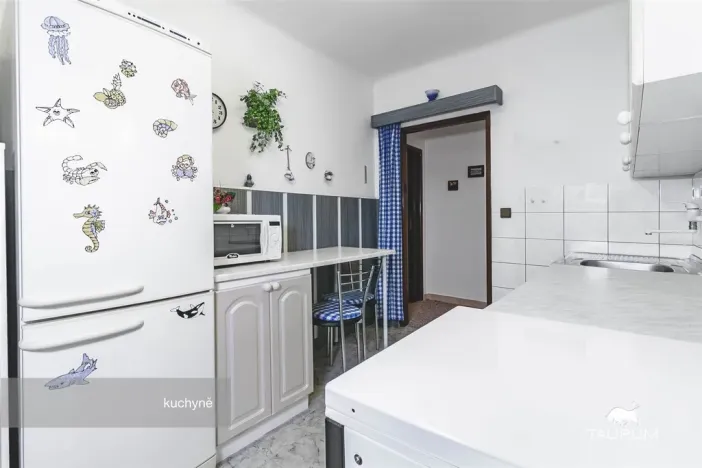 Prodej bytu 3+1, Plzeň - Východní Předměstí, U Prazdroje, 68 m2