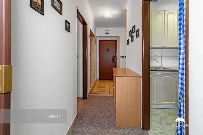 Prodej bytu 3+1, Plzeň - Východní Předměstí, U Prazdroje, 68 m2