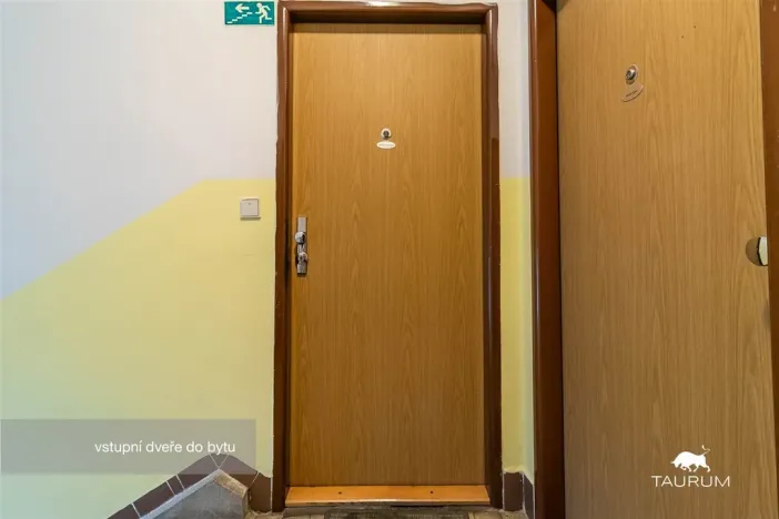 Prodej bytu 3+1, Plzeň - Východní Předměstí, U Prazdroje, 68 m2