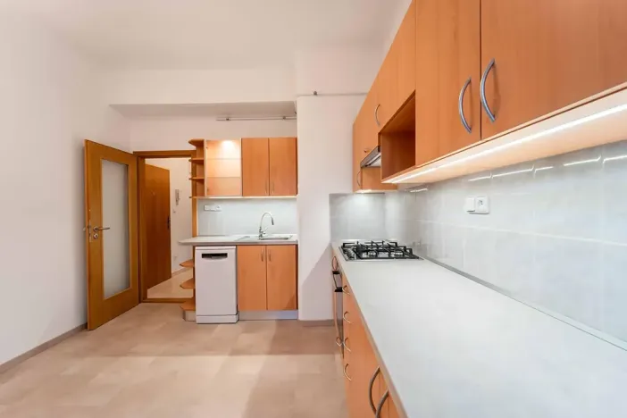 Pronájem bytu 1+1, Olomouc, Na Bystřičce, 41 m2