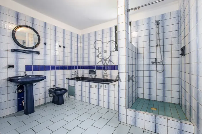 Prodej rodinného domu, Nová Ves, 300 m2