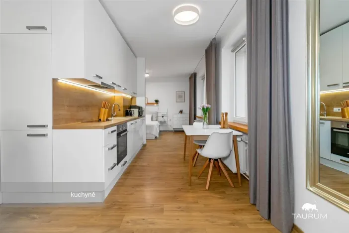 Prodej bytu 2+1, Plzeň - Východní Předměstí, Strnadova, 54 m2