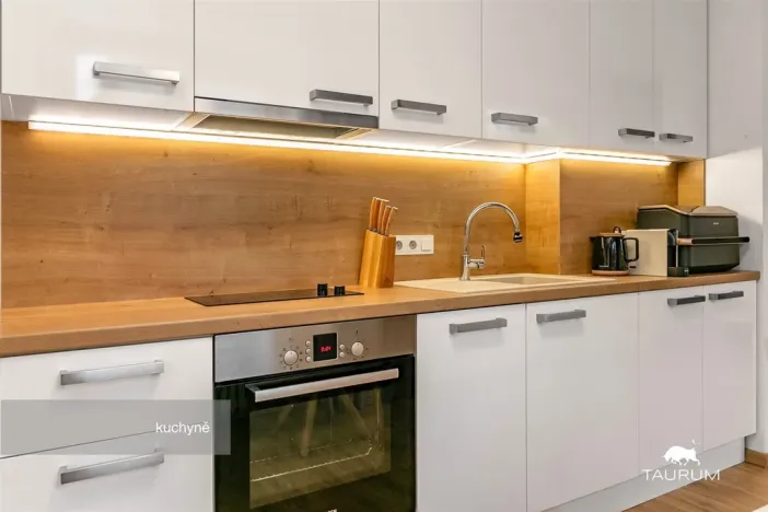 Prodej bytu 2+1, Plzeň - Východní Předměstí, Strnadova, 54 m2