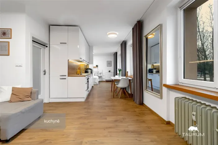 Prodej bytu 2+1, Plzeň - Východní Předměstí, Strnadova, 54 m2