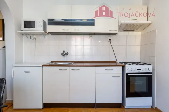 Prodej bytu 1+1, Ostrava - Mariánské Hory, 28. října, 48 m2