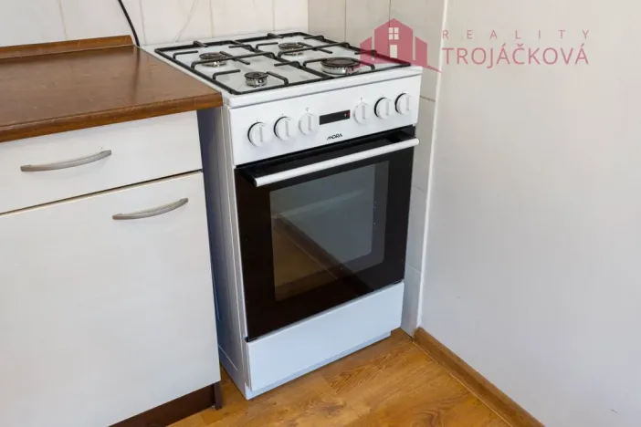 Prodej bytu 1+1, Ostrava - Mariánské Hory, 28. října, 48 m2