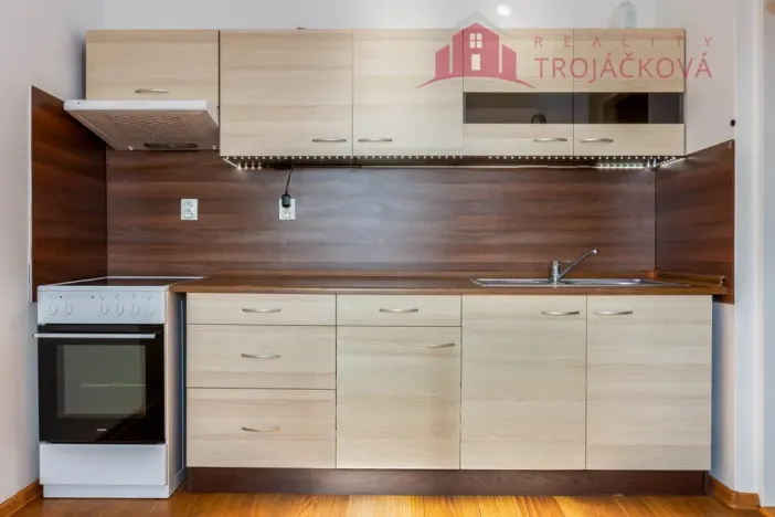 Prodej bytu 1+1, Ostrava, 28. října, 48 m2